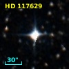 HD 117629