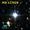 HD 117929