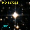 HD 117213