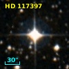 HD 117397