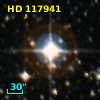 HD 117941