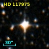 HD 117975