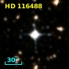 HD 116488