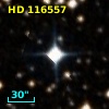 HD 116557
