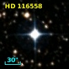 HD 116558
