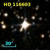 HD 116603