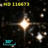 HD 116673
