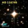 HD 116746