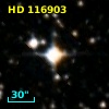 HD 116903