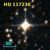 HD 117236