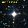HD 117314