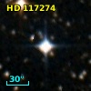 HD 117274