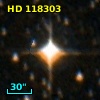 HD 118303