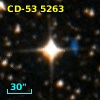 CD-53  5263
