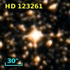 HD 123261