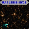 IRAS 13588-5629