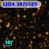 LEDA 3075589