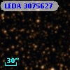 LEDA 3075627