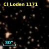 Cl Loden 1171