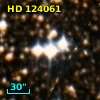 HD 124061