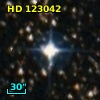 HD 123042