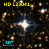 HD 123041