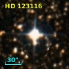 HD 123116