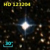 HD 123204