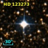 HD 123273