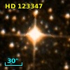 HD 123347