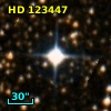 HD 123447