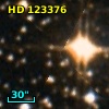 HD 123376
