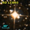 HD 123893
