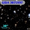 LEDA 3075897