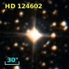 HD 124602