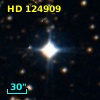 HD 124909