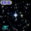 CD-59  5261