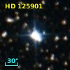 HD 125901