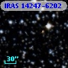 IRAS 14247-6202