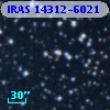 IRAS 14312-6021