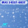 IRAS 14337-6037