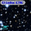 Cl Loden 1296