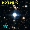 HD 124340