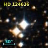 HD 124636