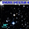 [SVG93] 142125.0-613227