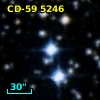 CD-59  5246