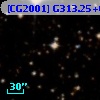 [CG2001] G313.25+0.32