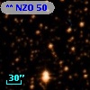 ** NZO    50
