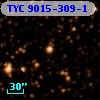 TYC 9015-309-1