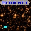 TYC 9015-917-1